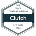 Top eBook Content Writing